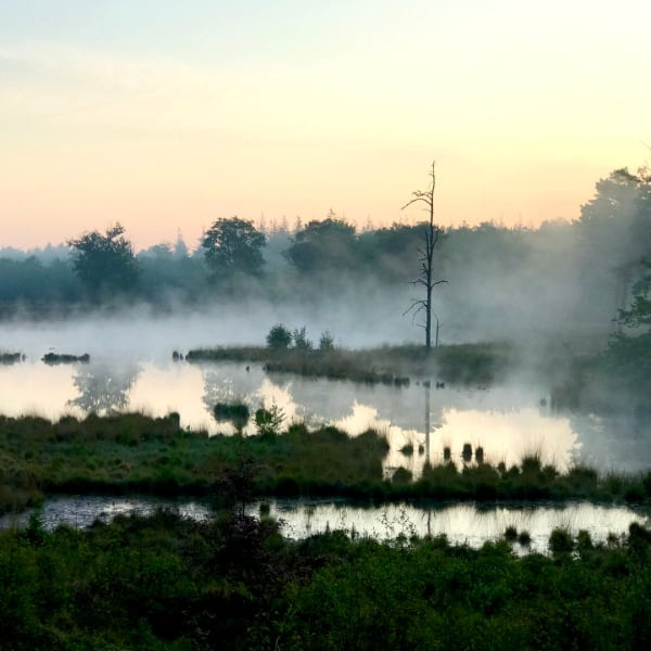Treekermeertje den treek